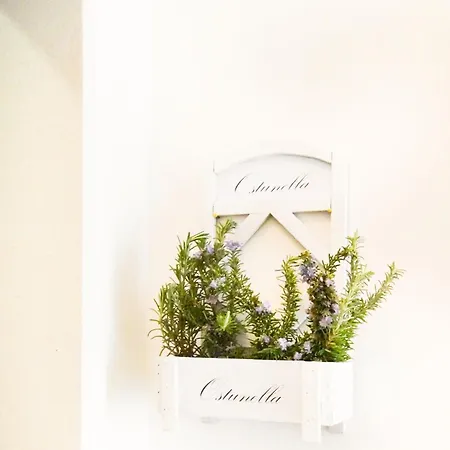 Ostunella